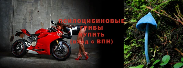 соль ск Абдулино