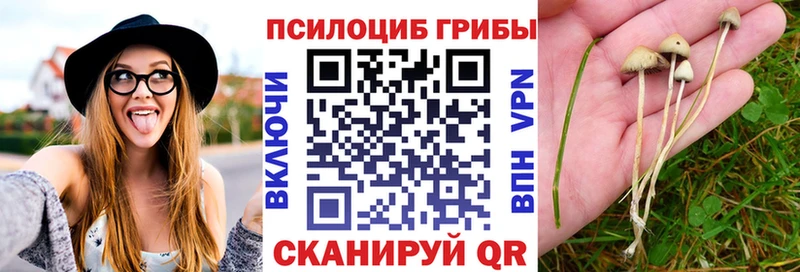 Псилоцибиновые грибы GOLDEN TEACHER  Бавлы 